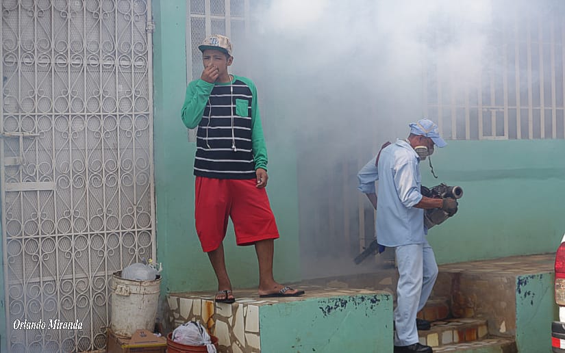 Fumigar2